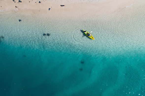 Tour en kayak + Snorkel en Gold Coast