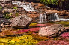 Tour de 3, 4 o 5 días por Caño Cristales y Sierra de La Macarena