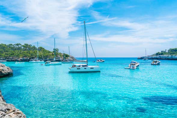 Giro in catamarano nella baia di Palma