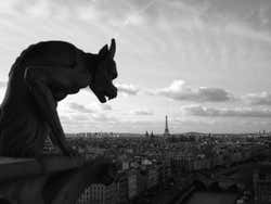 Fotografía de gárgola disfrutando de las vistas de París desde la Catedral de Notre Dame