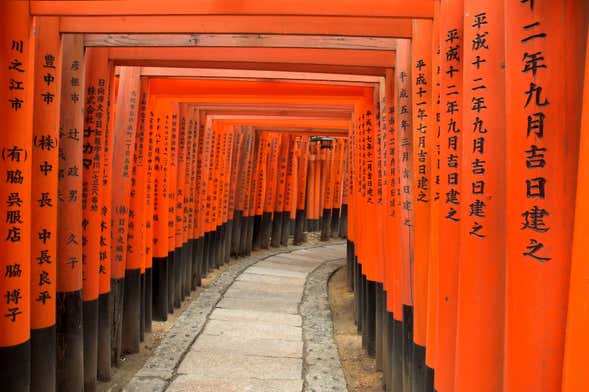 Visita por el santuario Fushimi Inari-Taisha y el templo de Kiyomizu-dera
